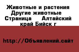 Животные и растения Другие животные - Страница 2 . Алтайский край,Бийск г.